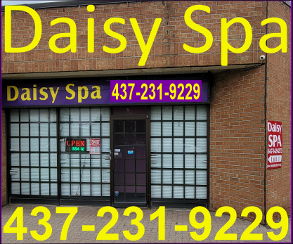 10 Daisy Exterior MP300.png