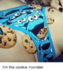 im-the-cookie-monster-26274796.png
