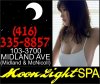 MoonlightMP300x250-10.jpg