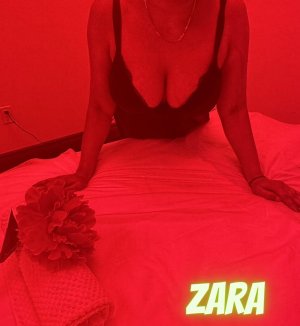 Zara (2).jpg