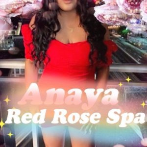 anaya-red-rose.jpg