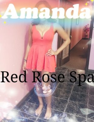 amanda-red-rose.jpg