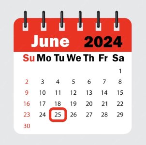  2024-06-25.jpg
