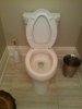 toilet.seat.up.jpg