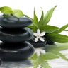 Deep tissue and relaxation massage at elbow park