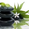 Deep tissue and relaxation massage at Elbow Park