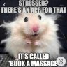 Massotherapeute / Professional Massage Therapist