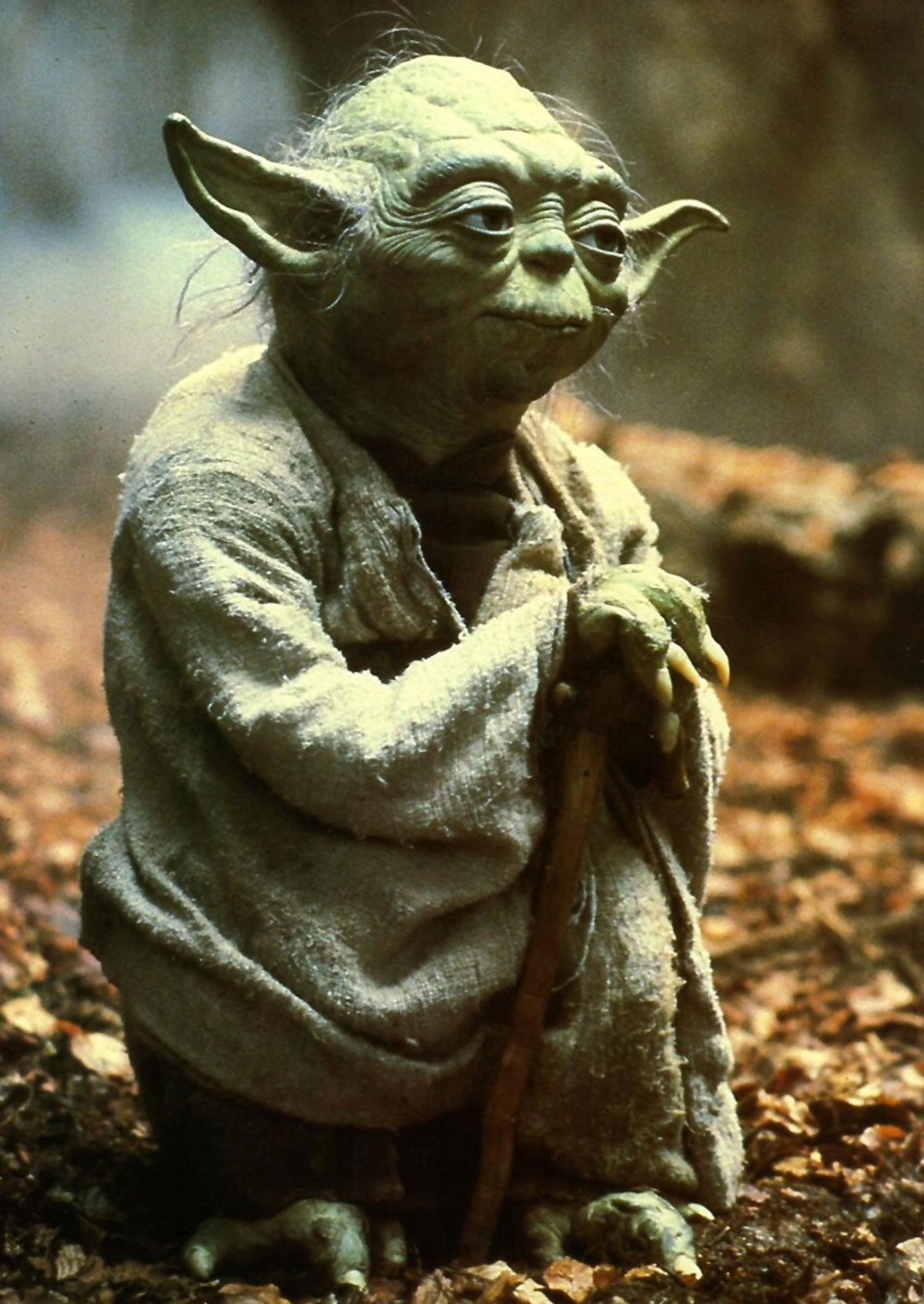 Yoda-featured1.jpg
