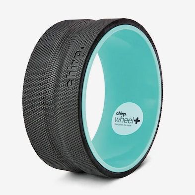 Chirp Wheel 10 Inches