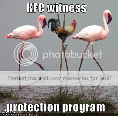 funny-pictures-kfc-chicken-stilts-f.jpg