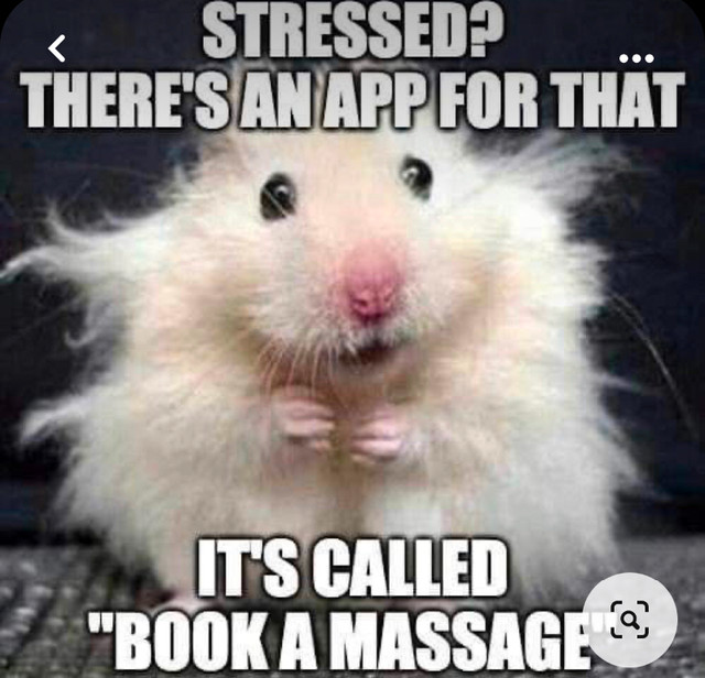 Massotherapeute / Professional Massage Therapist dans Services de Massages à Ville de Montréal