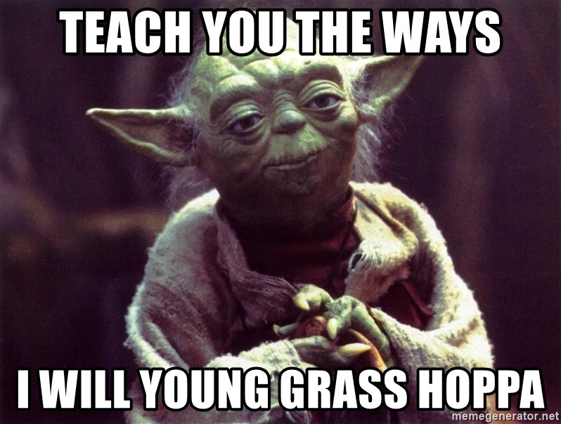 teach-you-the-ways-i-will-young-grass-hoppa.jpg