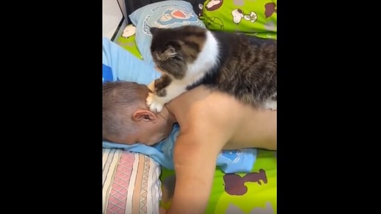 The image shows a cat giving a massage to its human. (Reddit/@westcoastcdn19)